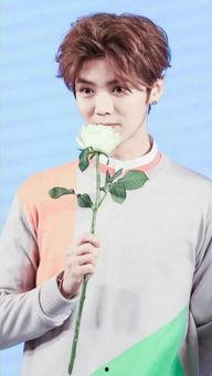 鹿晗热巴结婚照片,浪漫瞬间定格永恒